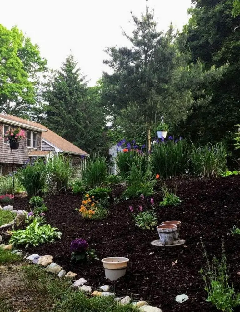 Braden's garden, contributed by mother Megan
