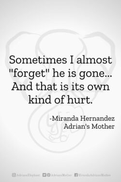 Download or click "P"/Save
button to post to Pinterest Sometimes I almost "forget" he is gone... And that is its own kind of hurt. -Miranda Hernandez, Adrian's Mother