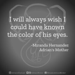 Download for Instagram I will always wish I could have known the color of his eyes. -Miranda Hernandez, Adrian's Mother