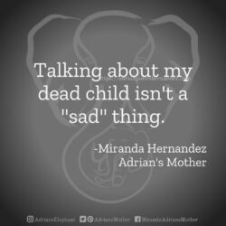 Download for Instagram Talking about my dead child isn't a "sad" thing. -Miranda Hernandez, Adrian's Mother