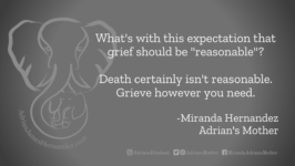 Download for Facebook or Twitter What's with this expectation that grief should be "reasonable"? Death certainly isn't reasonable. Grieve however you need. -Miranda Hernandez Adrian's Mother