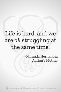 Download or click "P"/Save
button to post to Pinterest Life is hard, and we are all struggling at the same time. - Miranda Hernandez, Adrian's Mother