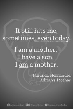 Download or click "P"/Save
button to post to Pinterest It still hits me, sometimes, even today. I am a mother. I have a son. I AM a mother. - Miranda Hernandez, Adrian's Mother