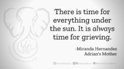 Download for Facebook or Twitter There is time for everything under the sun. It is always time for grieving. -Miranda Hernandez, Adrian's Mother