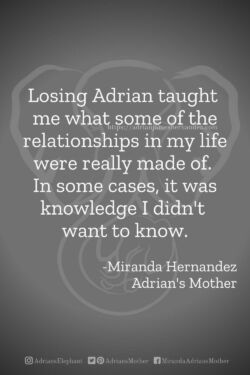 Download or click "P"/Save
button to post to Pinterest Losing Adrian taught me what some of the relationships in my life were really made of. In some cases, it was knowledge I didn't want to know. -Miranda Hernandez, Adrian's Mother