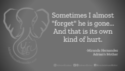 Download for Facebook or Twitter Sometimes I almost "forget" he is gone... And that is its own kind of hurt. -Miranda Hernandez, Adrian's Mother