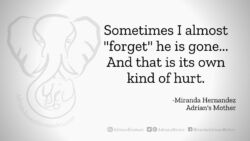 Download for Facebook or Twitter Sometimes I almost "forget" he is gone... And that is its own kind of hurt. -Miranda Hernandez, Adrian's Mother