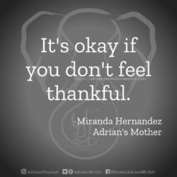 Download for Instagram It's okay if you don't feel thankful. -Miranda Hernandez, Adrian's Mother