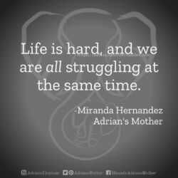 Download for Instagram Life is hard, and we are all struggling at the same time. - Miranda Hernandez, Adrian's Mother