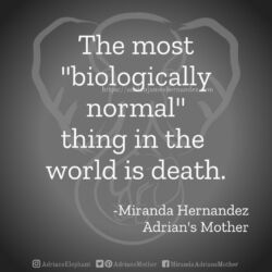 Download for Instagram The most biologically normal thing in the world is death. -Miranda Hernandez, Adrian's Mother