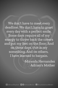 Download or click "P"/Save
button to post to Pinterest We don’t have to meet every deadline. We don’t have to greet every day with a perfect smile. Some days require all of my energy to throw back the covers and put my feet on the floor. And on those days, that is my something. And on others, I have learned to bargain. -Miranda Hernandez, Adrian's Mother