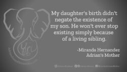 Download for Facebook or Twitter My daughter's birth didn't negate the existence of my son. He won't ever stop existing simply because of a living sibling. -Miranda Hernandez, Adrian's Mother