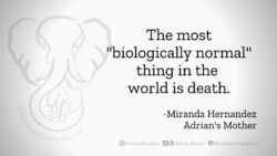 Download for Facebook or Twitter The most biologically normal thing in the world is death. -Miranda Hernandez, Adrian's Mother