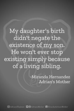 Download or click "P"/Save
button to post to Pinterest My daughter's birth didn't negate the existence of my son. He won't ever stop existing simply because of a living sibling. -Miranda Hernandez, Adrian's Mother
