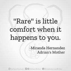 Download for Instagram Rare is little comfort when it happens to you. -Miranda Hernandez, Adrian's Mother
