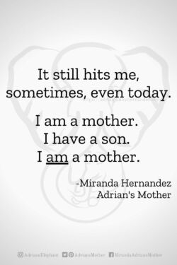 Download or click "P"/Save
button to post to Pinterest It still hits me, sometimes, even today. I am a mother. I have a son. I AM a mother. - Miranda Hernandez, Adrian's Mother