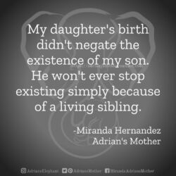 Download for Instagram My daughter's birth didn't negate the existence of my son. He won't ever stop existing simply because of a living sibling. -Miranda Hernandez, Adrian's Mother