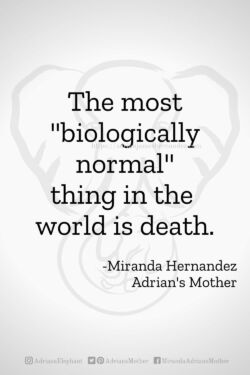 Download or click "P"/Save
button to post to Pinterest The most biologically normal thing in the world is death. -Miranda Hernandez, Adrian's Mother