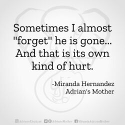 Download for Instagram Sometimes I almost "forget" he is gone... And that is its own kind of hurt. -Miranda Hernandez, Adrian's Mother
