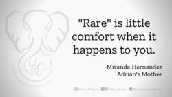 Download for Facebook or Twitter Rare is little comfort when it happens to you. -Miranda Hernandez, Adrian's Mother