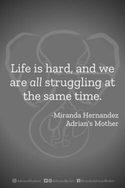 Download or click "P"/Save
button to post to Pinterest Life is hard, and we are all struggling at the same time. - Miranda Hernandez, Adrian's Mother