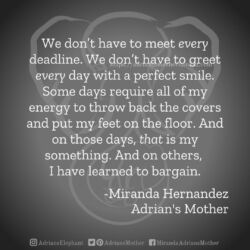 Download for Instagram We don’t have to meet every deadline. We don’t have to greet every day with a perfect smile. Some days require all of my energy to throw back the covers and put my feet on the floor. And on those days, that is my something. And on others, I have learned to bargain. -Miranda Hernandez, Adrian's Mother