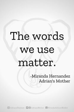 Download or click "P"/Save
button to post to Pinterest The words we use matter. -Miranda Hernandez, Adrian's Mother