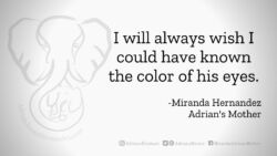 Download for Facebook or Twitter I will always wish I could have known the color of his eyes. -Miranda Hernandez, Adrian's Mother