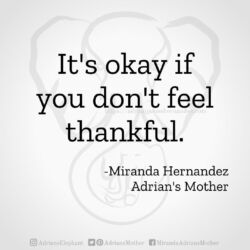 Download for Instagram It's okay if you don't feel thankful. -Miranda Hernandez, Adrian's Mother