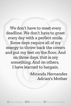 Download or click "P"/Save
button to post to Pinterest We don’t have to meet every deadline. We don’t have to greet every day with a perfect smile. Some days require all of my energy to throw back the covers and put my feet on the floor. And on those days, that is my something. And on others, I have learned to bargain. -Miranda Hernandez, Adrian's Mother