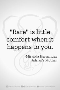 Download or click "P"/Save
button to post to Pinterest Rare is little comfort when it happens to you. -Miranda Hernandez, Adrian's Mother