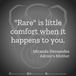 Download for Instagram Rare is little comfort when it happens to you. -Miranda Hernandez, Adrian's Mother