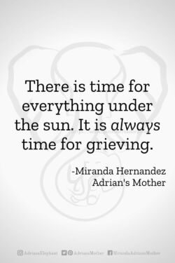 Download or click "P"/Save
button to post to Pinterest There is time for everything under the sun. It is always time for grieving. -Miranda Hernandez, Adrian's Mother