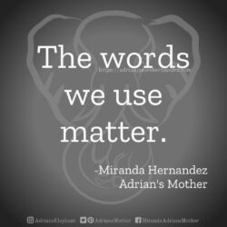 Download for Instagram The words we use matter. -Miranda Hernandez, Adrian's Mother