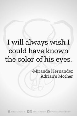 Download or click "P"/Save
button to post to Pinterest I will always wish I could have known the color of his eyes. -Miranda Hernandez, Adrian's Mother
