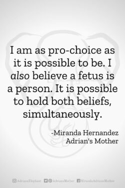 Download or click "P"/Save
button to post to Pinterest I am as pro-choice as it is possible to be. I also believe a fetus is a person. It is possible to hold both beliefs simultaneously. -Miranda Hernandez, Adrian's Mother