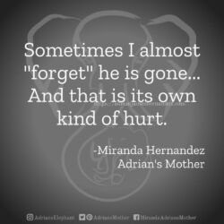 Download for Instagram Sometimes I almost "forget" he is gone... And that is its own kind of hurt. -Miranda Hernandez, Adrian's Mother