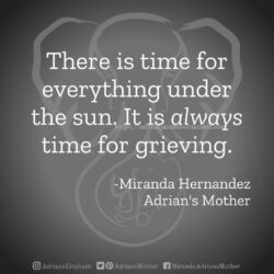 Download for Instagram There is time for everything under the sun. It is always time for grieving. -Miranda Hernandez, Adrian's Mother