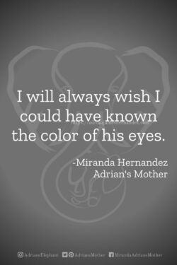Download or click "P"/Save
button to post to Pinterest I will always wish I could have known the color of his eyes. -Miranda Hernandez, Adrian's Mother