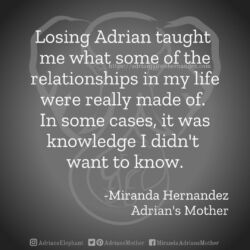 Download for Instagram Losing Adrian taught me what some of the relationships in my life were really made of. In some cases, it was knowledge I didn't want to know. -Miranda Hernandez, Adrian's Mother