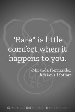 Download or click "P"/Save
button to post to Pinterest Rare is little comfort when it happens to you. -Miranda Hernandez, Adrian's Mother