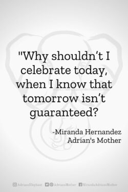 Download or click "P"/Save
button to post to Pinterest Why shouldn’t I celebrate today, when I know that tomorrow isn’t guaranteed? -Miranda Hernandez, Adrian's Mother