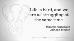 Download for Facebook or Twitter Life is hard, and we are all struggling at the same time. - Miranda Hernandez, Adrian's Mother