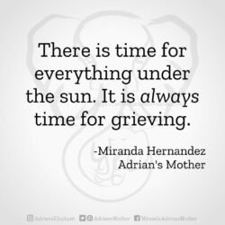Download for Instagram There is time for everything under the sun. It is always time for grieving. -Miranda Hernandez, Adrian's Mother