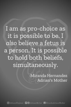 Download or click "P"/Save
button to post to Pinterest I am as pro-choice as it is possible to be. I also believe a fetus is a person. It is possible to hold both beliefs simultaneously. -Miranda Hernandez, Adrian's Mother