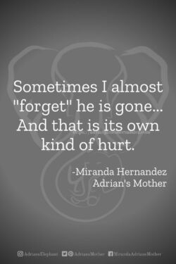 Download or click "P"/Save
button to post to Pinterest Sometimes I almost "forget" he is gone... And that is its own kind of hurt. -Miranda Hernandez, Adrian's Mother