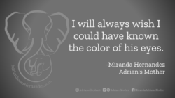 Download for Facebook or Twitter I will always wish I could have known the color of his eyes. -Miranda Hernandez, Adrian's Mother