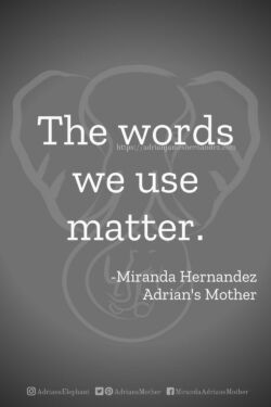 Download or click "P"/Save
button to post to Pinterest The words we use matter. -Miranda Hernandez, Adrian's Mother