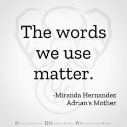 Download for Instagram The words we use matter. -Miranda Hernandez, Adrian's Mother