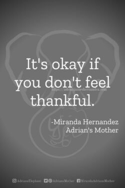Download or click "P"/Save
button to post to Pinterest It's okay if you don't feel thankful. -Miranda Hernandez, Adrian's Mother